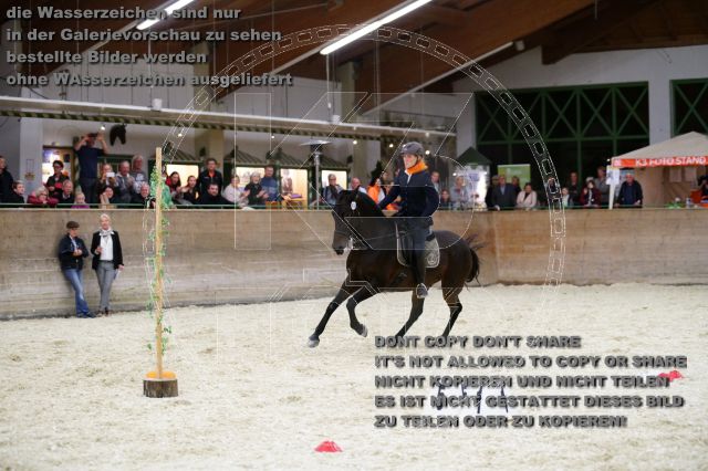 s_K3F01933.JPG